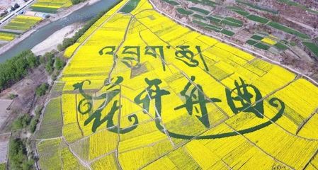 扶贫攻坚公益广告 | 舟曲,山美水美风光美